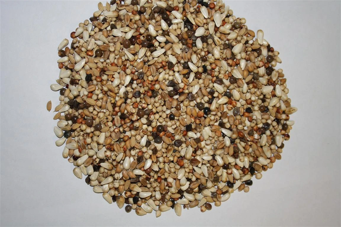 Paloma Nr.10 W.S. Diamond 20kg 1 Paloma Nr.10 W.S. Diamond 20kg