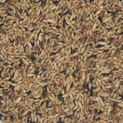 Gladen Kanarien Ohne Rübsen 20kg