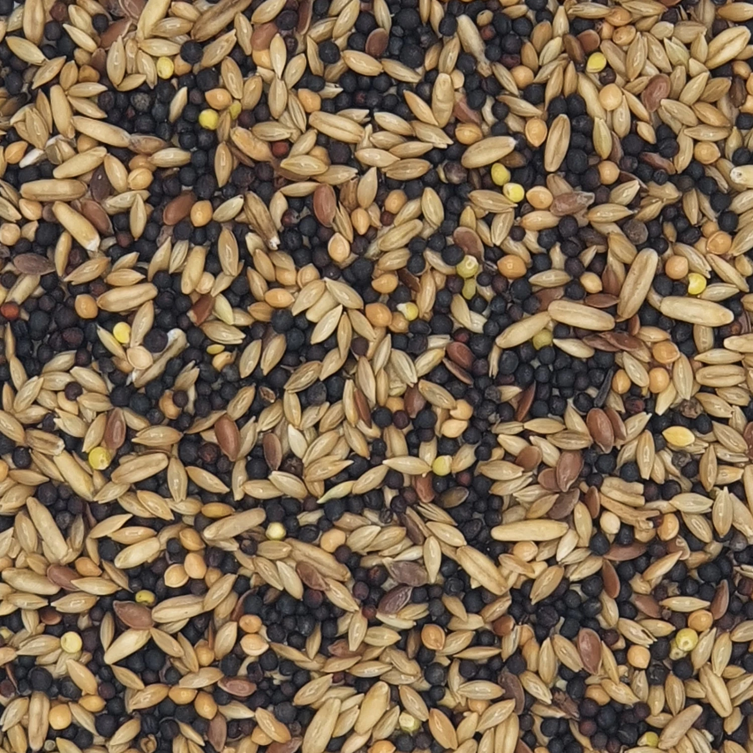 Versele Kanarien VR Prestige 20kg 1 Versele Kanarien VR Prestige 20kg