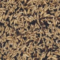 VERSELE-LAGA Versele Kanarien Classic 20kg