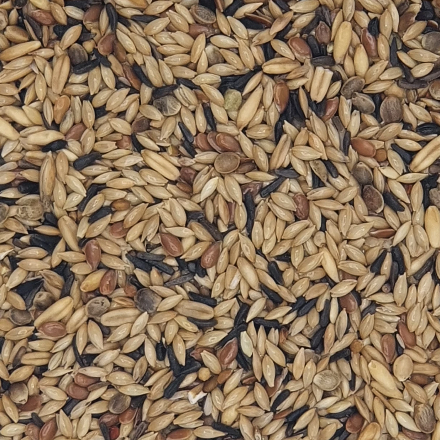 Versele Kanarien Zucht Ohne Rübsen Extra Prestige 20kg 1 Versele Kanarien Zucht Ohne Rübsen Extra Prestige 20kg