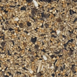 Versele Neophemen Prestige 20kg