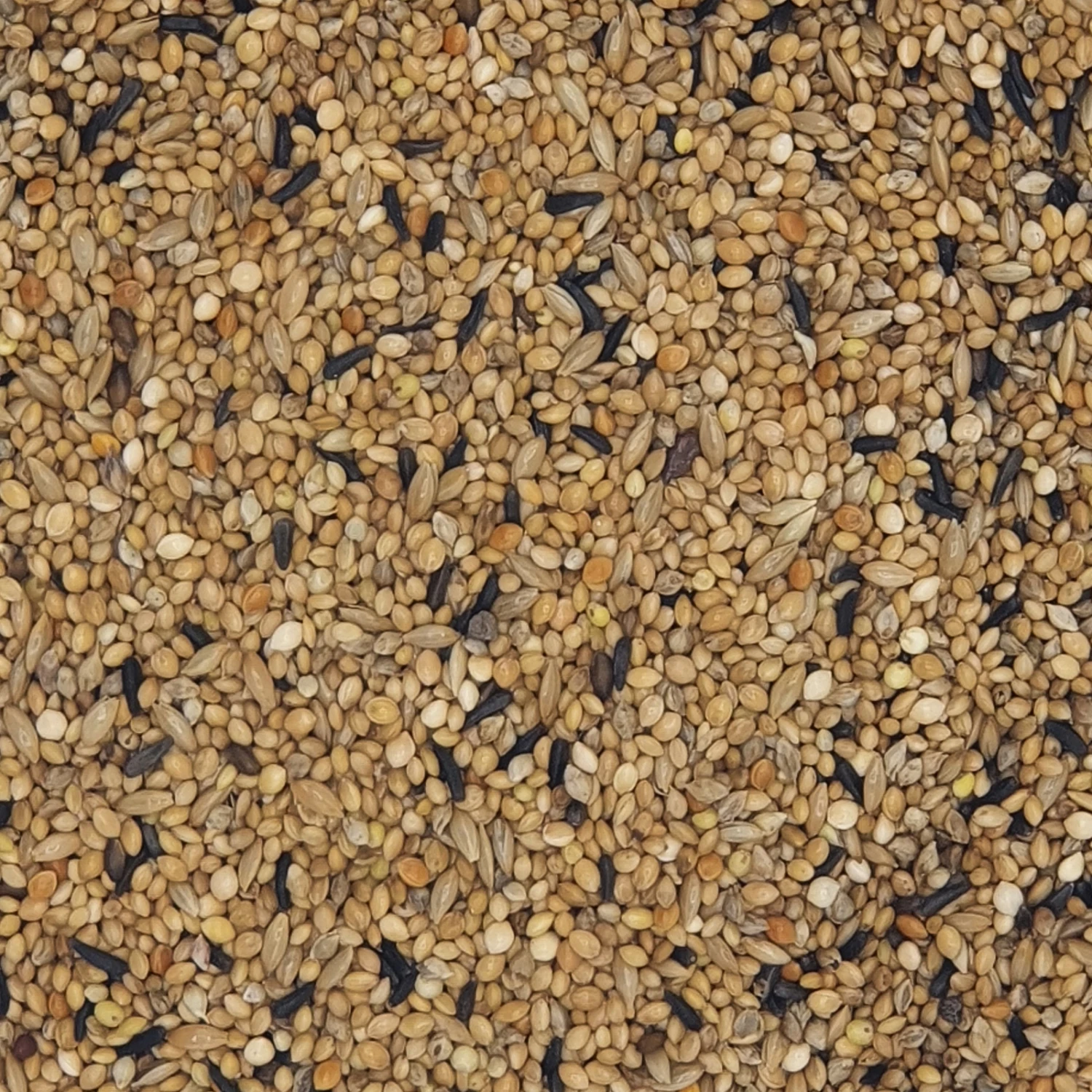 Versele Exoten Zucht Prestige 20kg 1 Versele Exoten Zucht Prestige 20kg