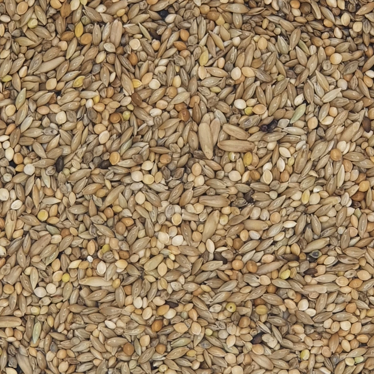 Versele Wellensittiche Zucht Prestige 20kg 1 Versele Wellensittiche Zucht Prestige 20kg