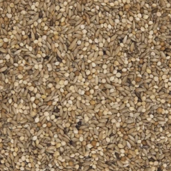 Versele Wellensittiche Jo Mannes - Euro Champ Prestige 20kg