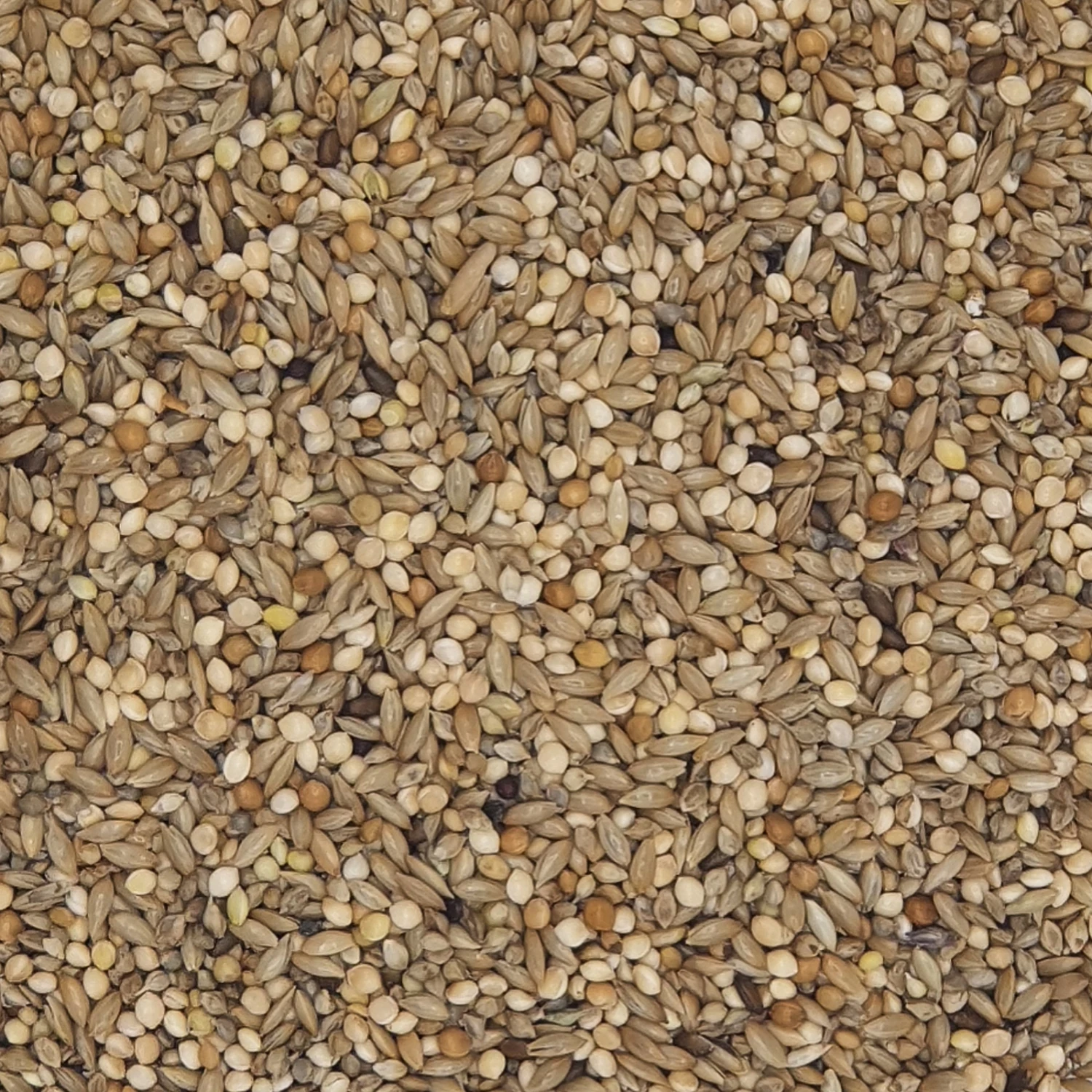 Versele Wellensittiche Jo Mannes - Euro Champ Prestige 20kg 1 Versele Wellensittiche Jo Mannes - Euro Champ Prestige 20kg