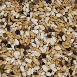 Versele Keimfutter Für Papageien Prestige 20kg