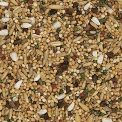 Versele Afrikanischer Großsittich Mix Loro Parque 20kg