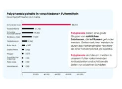Versele Champion Plus IC+ Black Label, 20kg -Mühle Gladen Haustier Verkaufsgeschäft antioxidantien 113