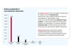 Versele Winter Plus I.C.⁺ 20kg 7 Versele Winter Plus I.C.⁺ 20kg -Mühle Gladen Haustier Verkaufsgeschäft antioxidantien 28