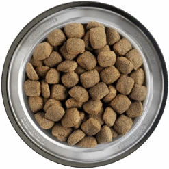 Belcando Junior Maxi 12,5kg -Mühle Gladen Haustier Verkaufsgeschäft belcando napf junior maxi 800x800