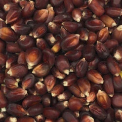 Mais Bordeaux Rot Nr.200 Vanrobaeys 20kg