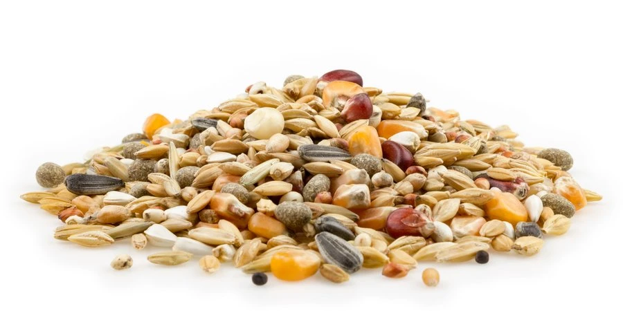 Mifuma Fitness 25kg 1 Mifuma Fitness 25kg