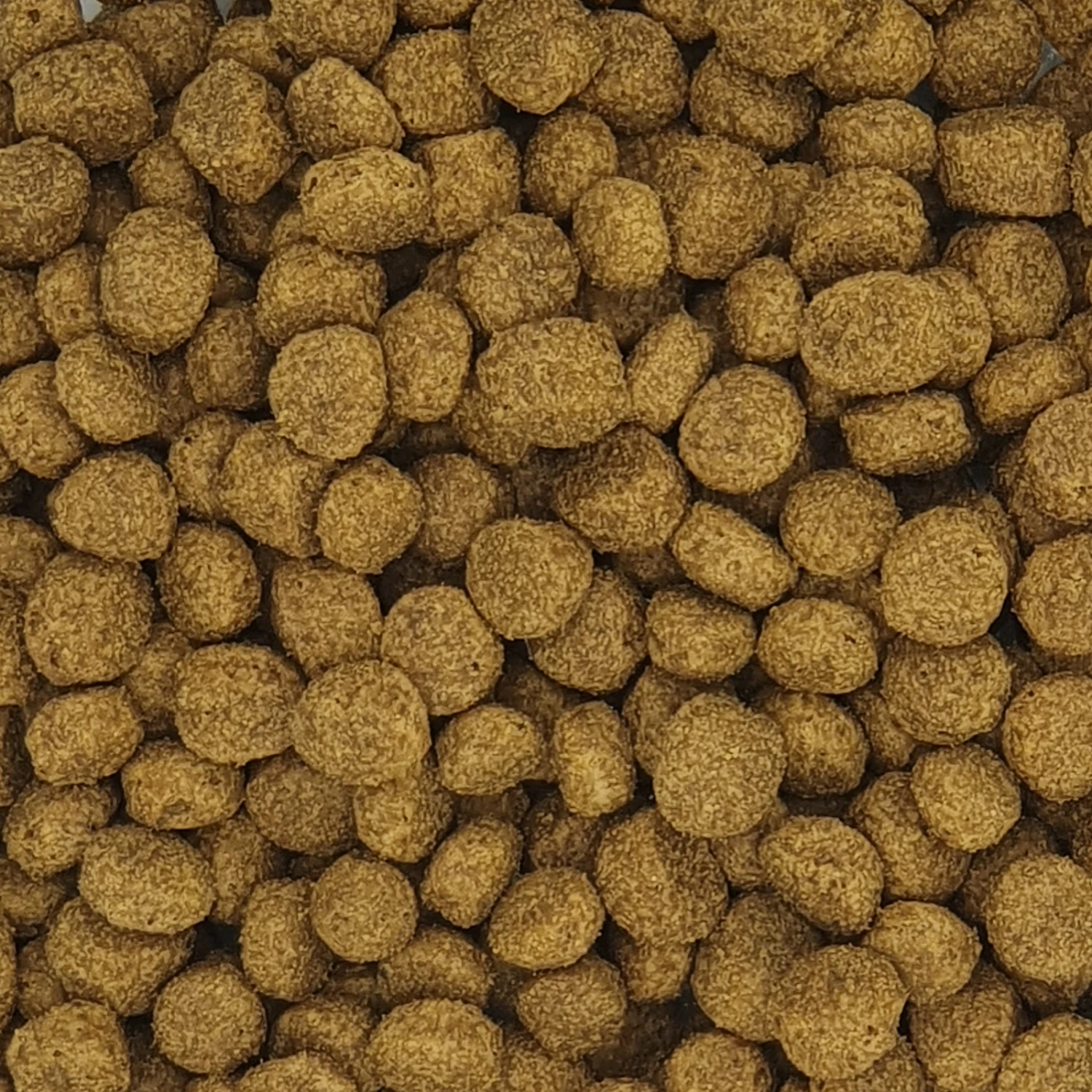 Versele Floating Ibis 2er-Pack 30kg 1 Versele Floating Ibis 2er-Pack 30kg