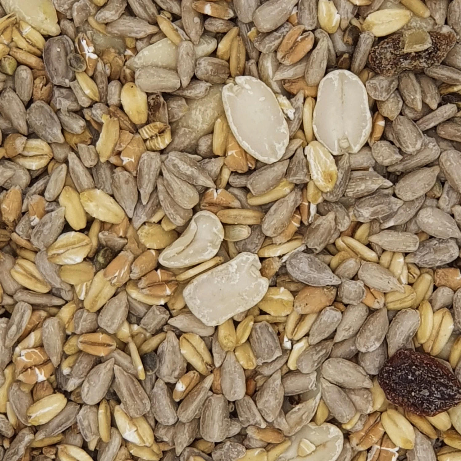 Gevo Gartenvogelfutter Schalenlos 25kg 1 Gevo Gartenvogelfutter Schalenlos 25kg