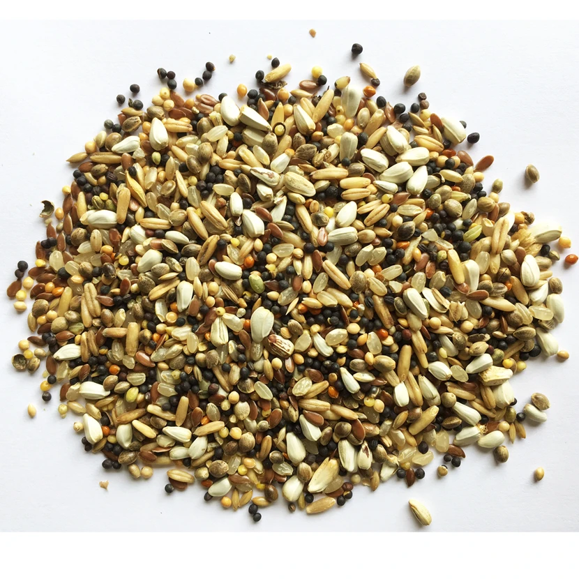 Sämereien - Gladen 25kg 1 Sämereien - Gladen 25kg