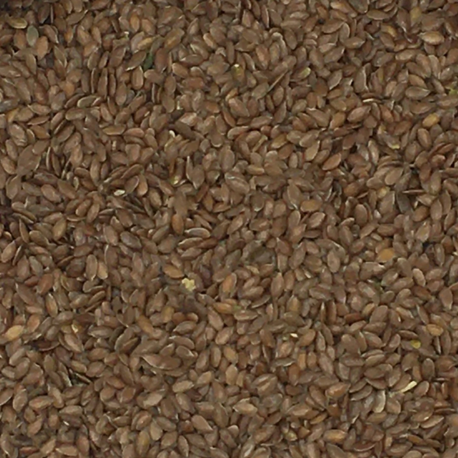 Leinsamen Braun - Vanrobaeys 20kg 1 Leinsamen Braun - Vanrobaeys 20kg