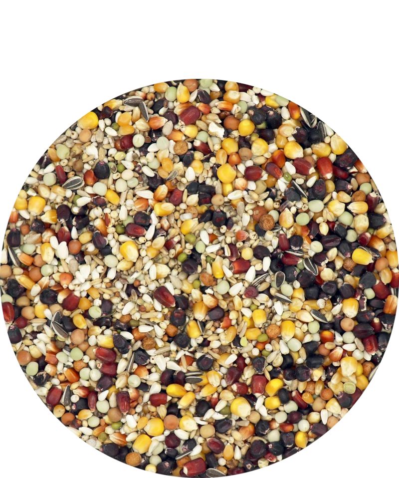 Versele Master Witwer 20kg 1 Versele Master Witwer 20kg