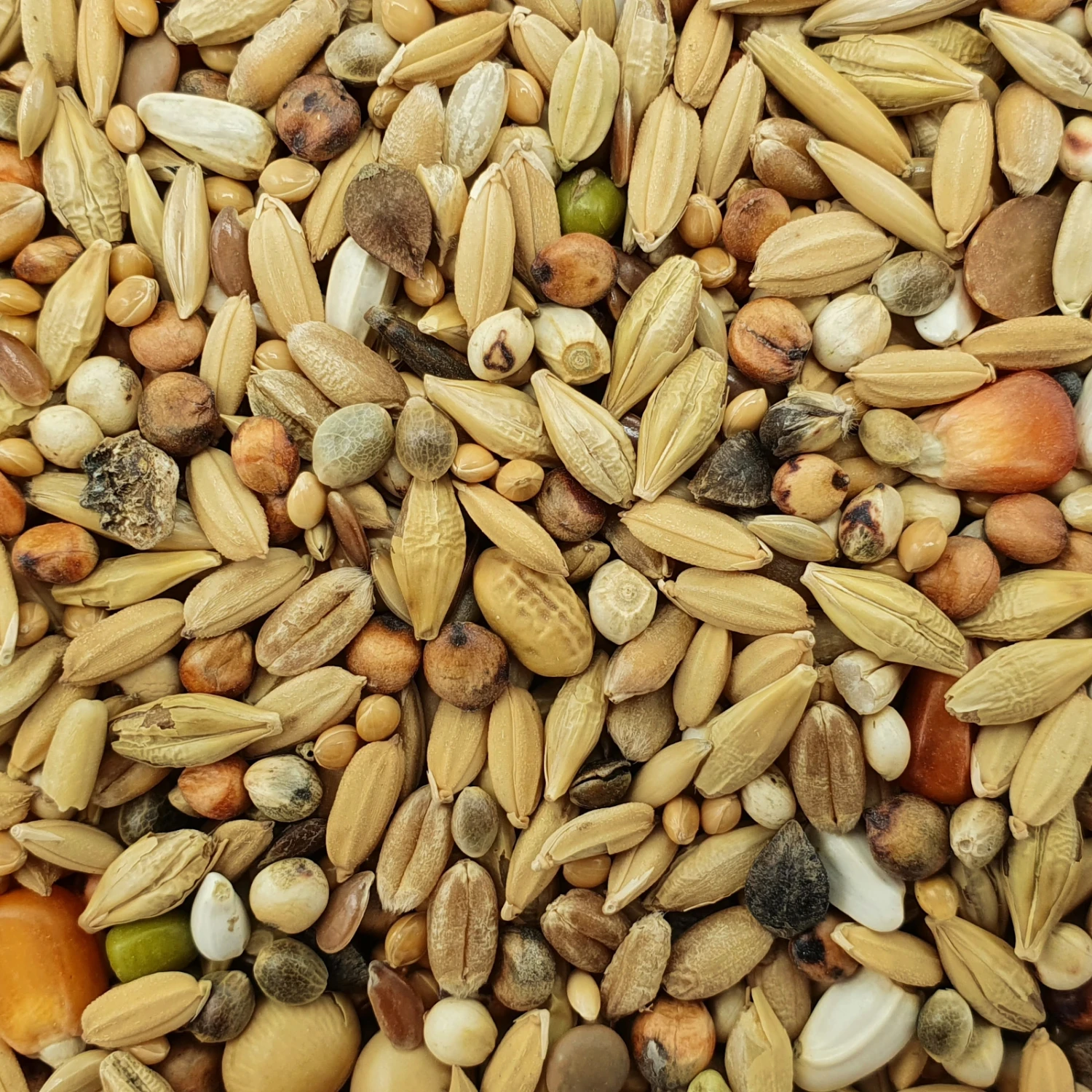 Matador Premium Start 25kg 1 Matador Premium Start 25kg