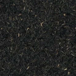 VERSELE-LAGA Nigersaat - Versele 20kg