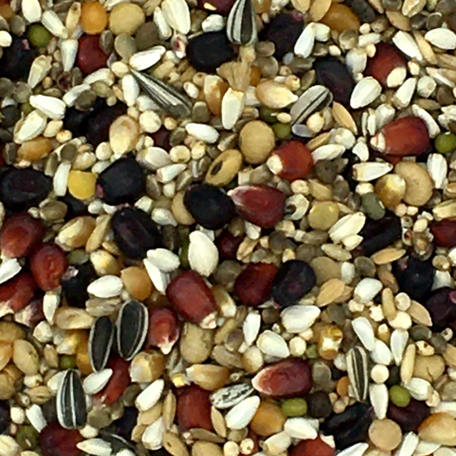 Paloma Nr.100 Olympic Diamond 20kg 1 Paloma Nr.100 Olympic Diamond 20kg