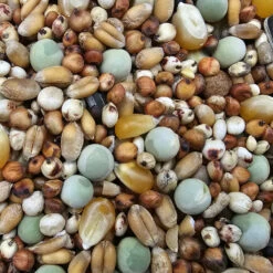 Paloma Nr.49 Super Zucht U. Jungt. Mit Mais 25kg