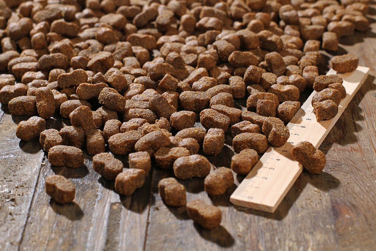 Bewi Dog Junior 12,5kg 3 Bewi Dog Junior 12,5kg – Bild 3