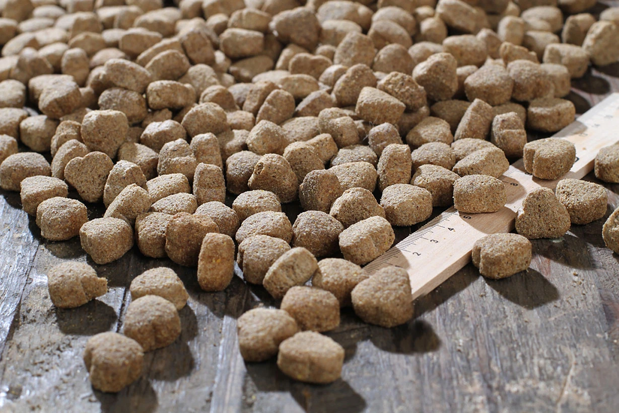 Bewi Dog Balance 12,5kg 3 Bewi Dog Balance 12,5kg – Bild 3