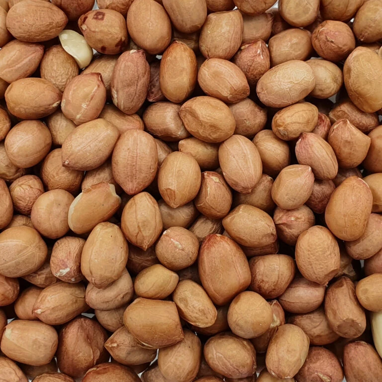 Mühle Gladen Haustier Verkaufsgeschäft -Mühle Gladen Haustier Verkaufsgeschäft spinne erdnuesse spitzenqualitaet web 768x768 1