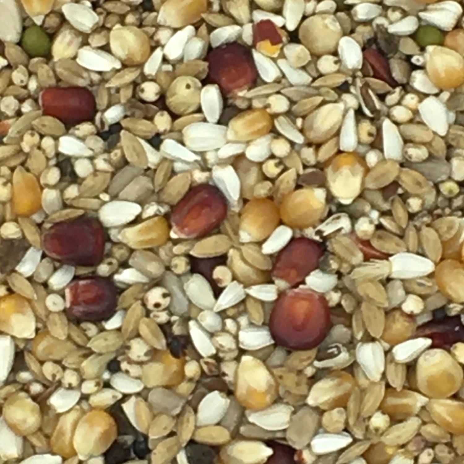 Vanrobaeys Nr.523 Platteeuw Spezial 20kg 1 Vanrobaeys Nr.523 Platteeuw Spezial 20kg