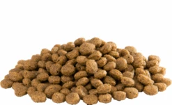 Versele Floating Ibis 15kg -Mühle Gladen Haustier Verkaufsgeschäft versele floating ibis inhalt