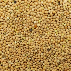 VERSELE-LAGA Hirse Gelb Plata - Versele 25kg