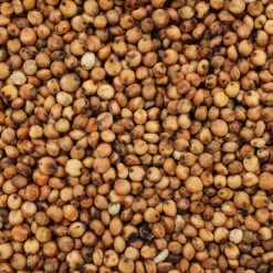 VERSELE-LAGA Milocorn - Versele 25kg