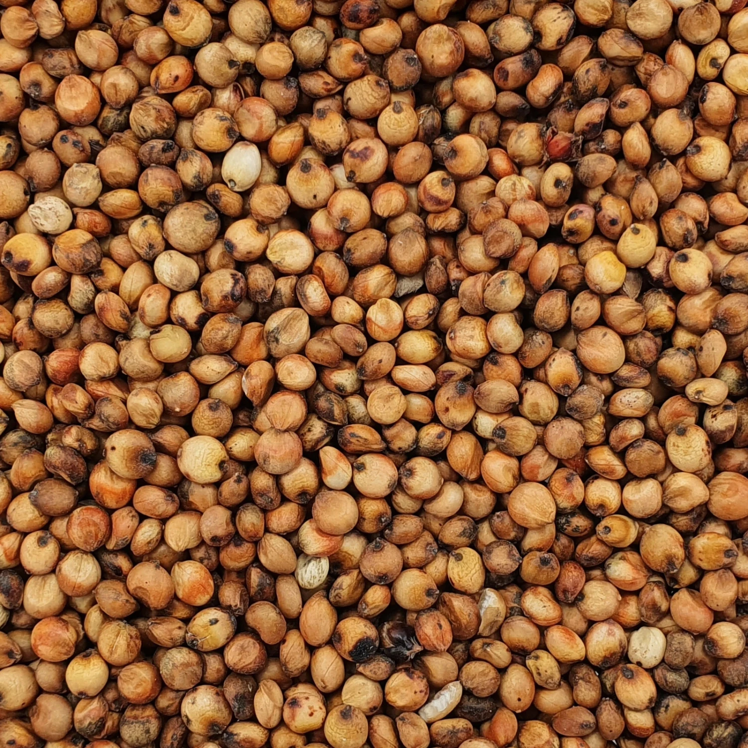 VERSELE-LAGA Milocorn - Versele 25kg 1 VERSELE-LAGA Milocorn - Versele 25kg