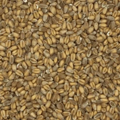 Weizen - Spinne 25kg