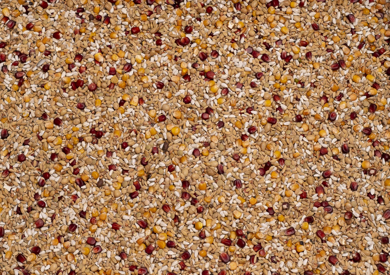 Beyers Premium Enzymix Relax 25Kg 1 Beyers Premium Enzymix Relax 25Kg